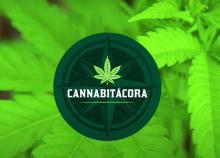 Cannabitácora